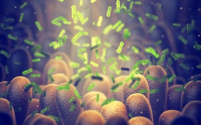 Bacterie-Ucigaș: Cercetătorii au creat arma secretă anti-cancer