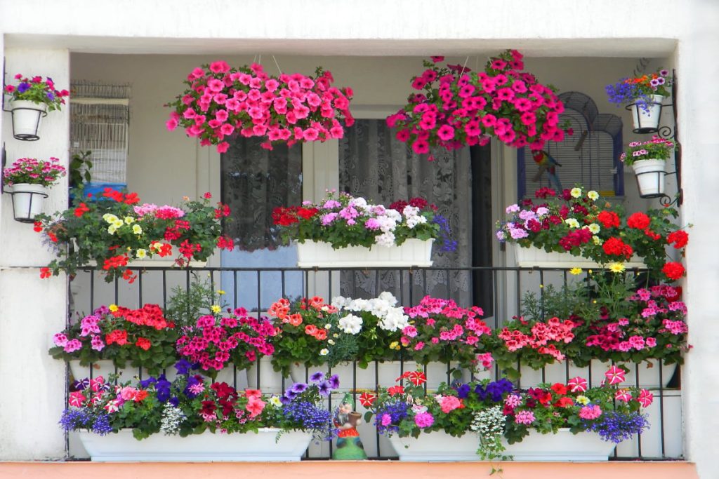 7 trucuri pentru un balcon plin de flori: Transformă-l într-o oază de vară!