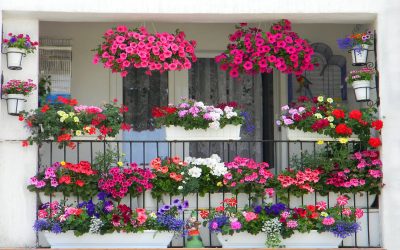 7 trucuri pentru un balcon plin de flori: Transformă-l într-o oază de vară!