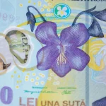 bani-romanesti-1-scaled-e1775032719705.jpg - JurnalUrban