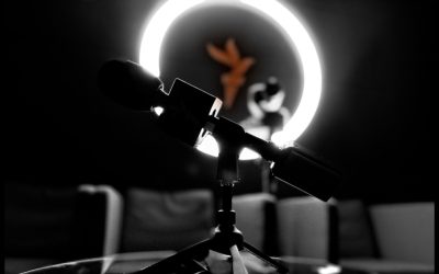 Rămâne viața după Europa Liberă România: 52.341 de povești așteaptă