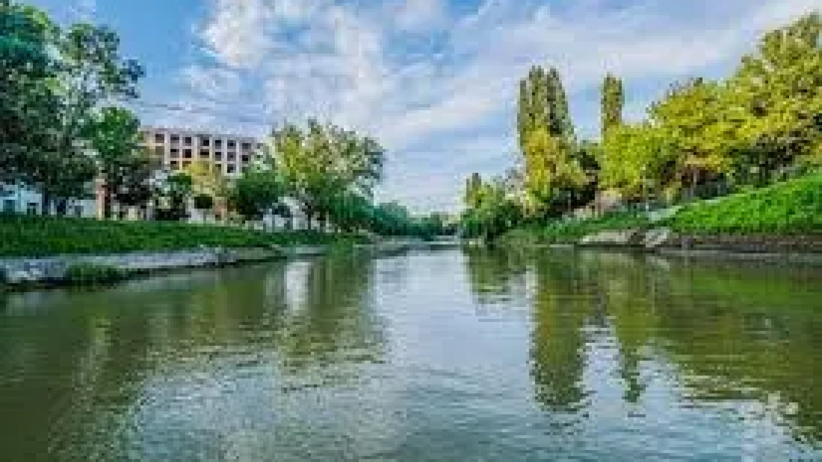 Bega, o punte între oraș și natură: Proiect de artă inedit