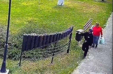 Primarul din Găești, sesizare la Poliție: Hoți prinși furând flori proaspăt plantate – VIDEO