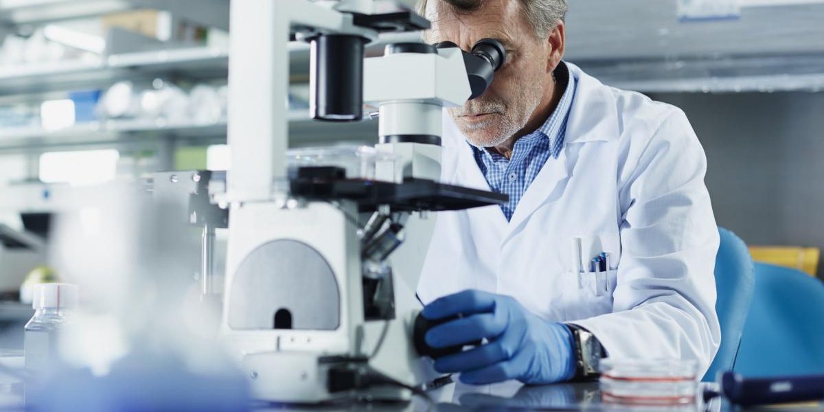 cercetatorii-rusi-dezvolta-compusi-pe-baza-de-extract-de-molid-considerati-eficienti-impotriva-coagu.webp - JurnalUrban