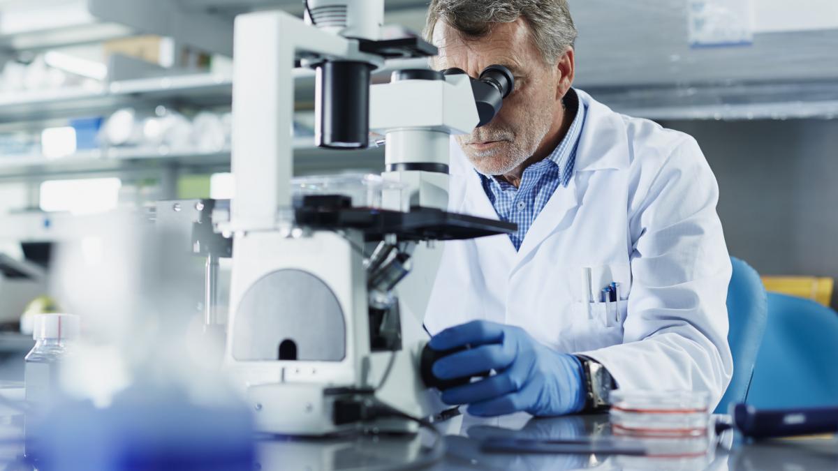 Oamenii de știință din Rusia au dezvoltat noi compuși pe bază de extract de molid care, conform testelor de laborator, par să încetinească coagularea sângelui