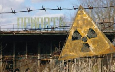 Viață misterioasă la Cernobîl: O nouă formă, la 40 de ani după dezastru