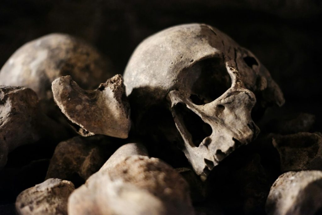 Catacombele din PARIS, un labirint subteran cu o istorie macabră, și-au redeschis porțile pentru vizitatori după o perioadă de închidere de aproximativ șase luni, datorată lucrărilor de modernizare