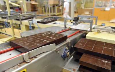 Căderea prețului la cacao: Barry Callebaut, lovită dur, pierde 17% pe bursă