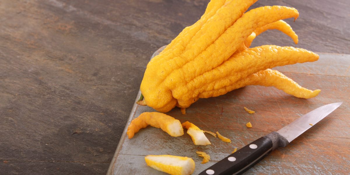 citricele-regleaza-emotiile-shutter_Descopera-scaled.jpg - JurnalUrban