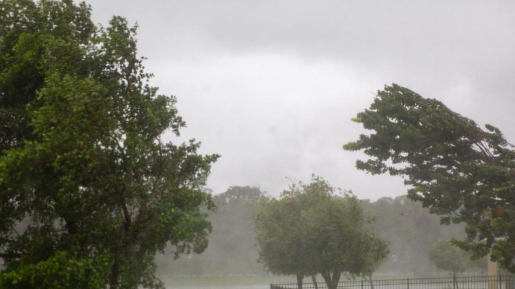 Cod galben de vânt, ploi în Nord, Centru și Est SÂMBĂTĂ. Schimbare radicală a vremii