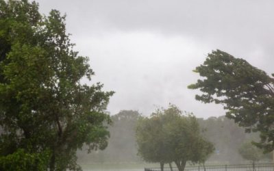 Cod galben de vânt, ploi în Nord, Centru și Est SÂMBĂTĂ. Schimbare radicală a vremii