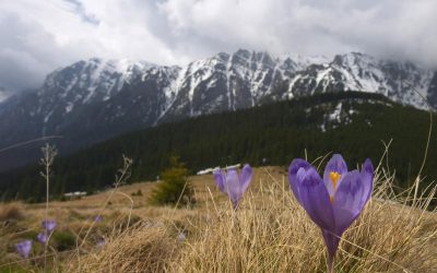 Ger cumplit de PAȘTE: România, sub asediu, vine zăpada