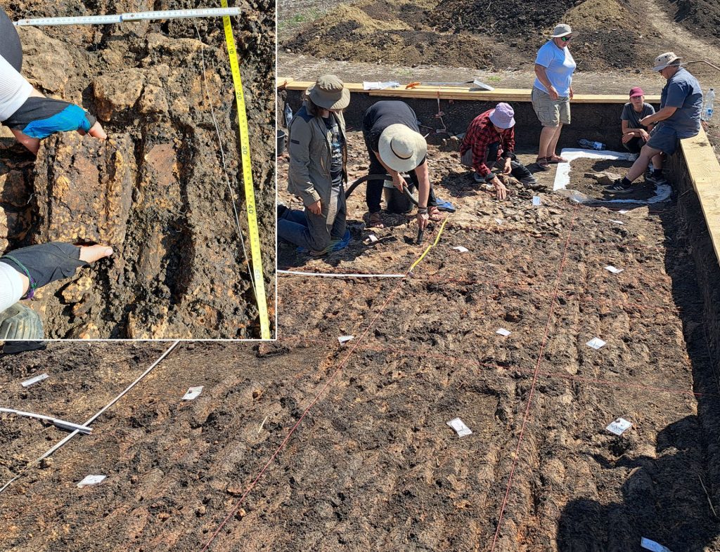 Arheologi Români și Germani, descoperire ULUITOARE la Cucuteni