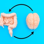 Mâncarea din copilărie îți schimbă creierul pe viață, arată un studiu