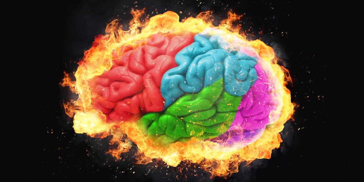 creier-lobul-frontal-shutter_Descopera-scaled.jpg - JurnalUrban