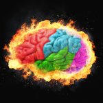 creier-lobul-frontal-shutter_Descopera-scaled.jpg - JurnalUrban