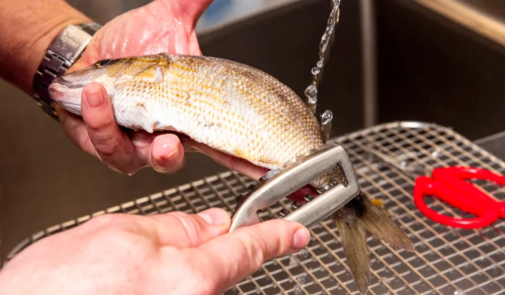 cum-sa-cureti-peste.webp.webp - JurnalUrban