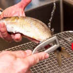 cum-sa-cureti-peste.webp.webp - JurnalUrban