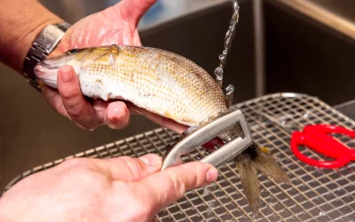 cum-sa-cureti-peste.webp.webp - JurnalUrban