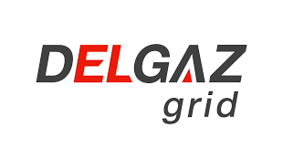 Delgaz Grid pompează 241 milioane euro în rețelele de gaze și curent, în 2025