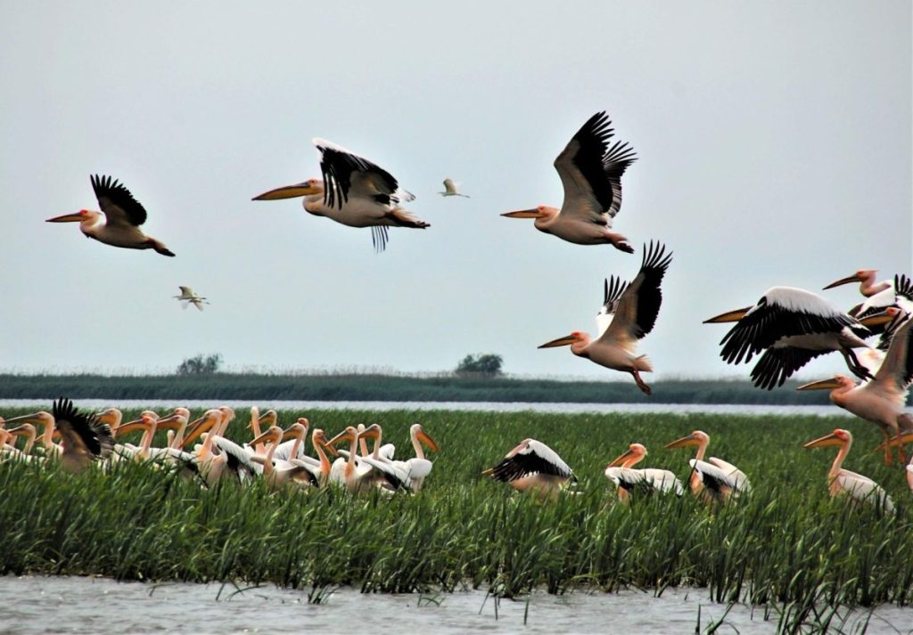 Situația critică: „Suntem la marginea prăpastiei”, avertizează experții