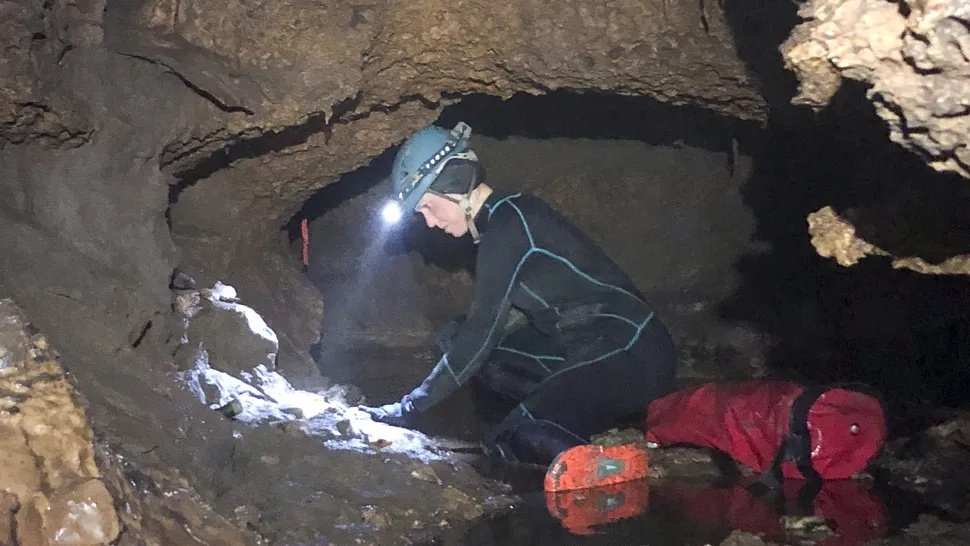 Descoperire monumentală în Texas: Un ecosistem preistoric surprinzător rescrie istoria O descoperire senzațională în peșterile din Texas a scos la iveală un ecosistem preistoric complet neașteptat, populat de specii de animale uriașe și diverse