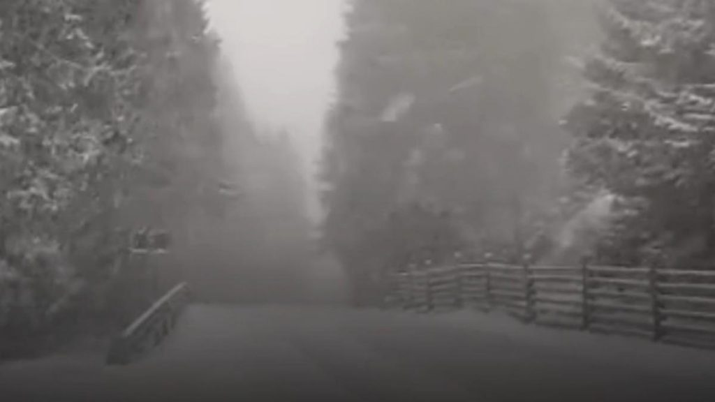 Dimineața de dinaintea Paștelui a adus temperaturi de iarnă și ninsori în zonele montane ale țării, creând un contrast puternic cu apropierea sărbătorilor pascale