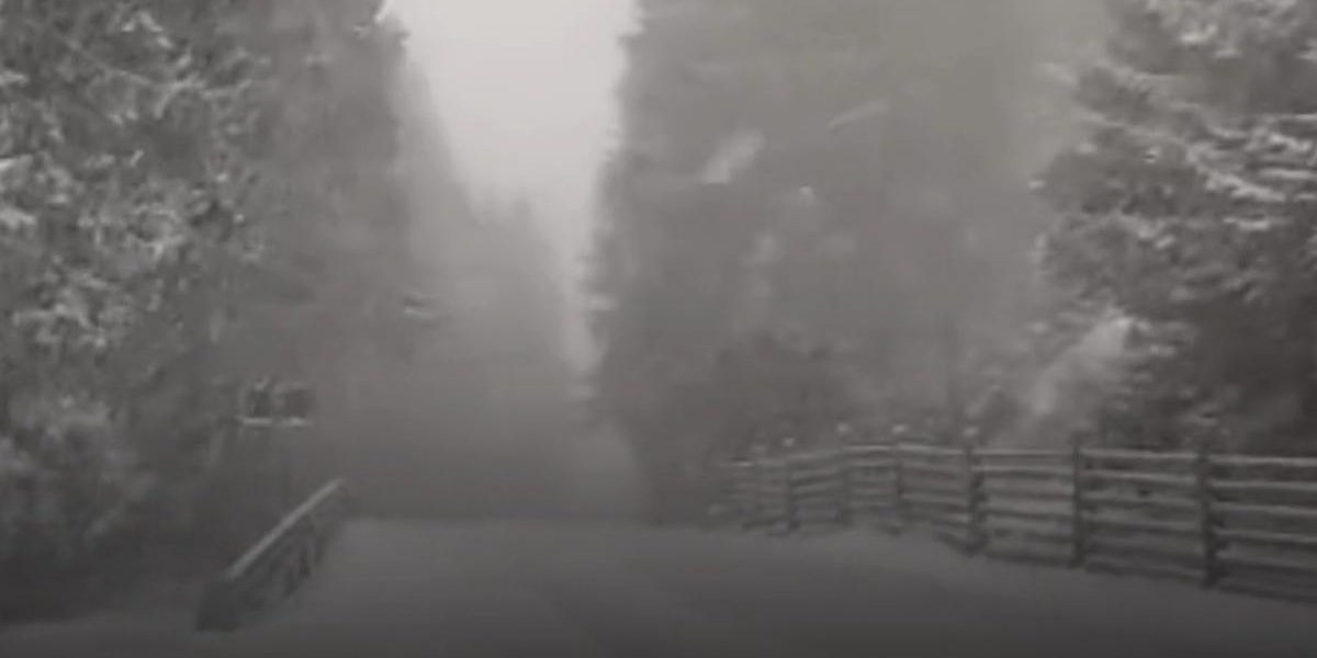 Ger de iarnă înainte de Paște: -6 grade la Păltiniș, -5 la Sinaia