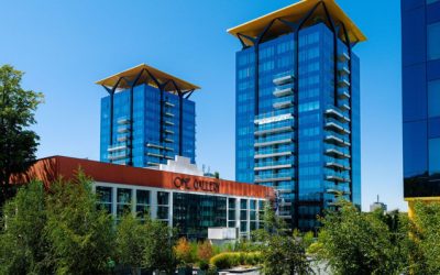 Brandurile românești din imobiliare: De la cărămidă la experiență