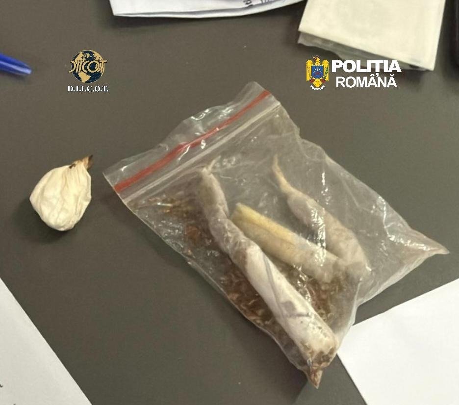 Doi bărbați din Cluj, reținuți pentru trafic de droguri de mare risc; unul dintre ei recidivist Cluj-NAPOCA – Doi bărbați, cu vârstele de 43 și 49 de ani, au fost reținuți de procurorii DIICOT din Cluj pentru trafic de droguri de mare risc