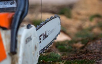 Bărbat din Alba, UCIS de drujbă: Dosar de ucidere din culpă