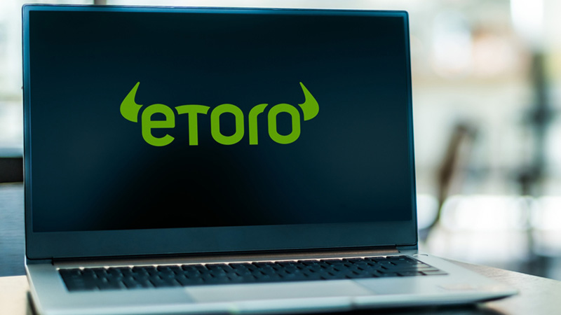 Petrolul și mineralele rare, preferatele investitorilor. Software-ul, în declin?