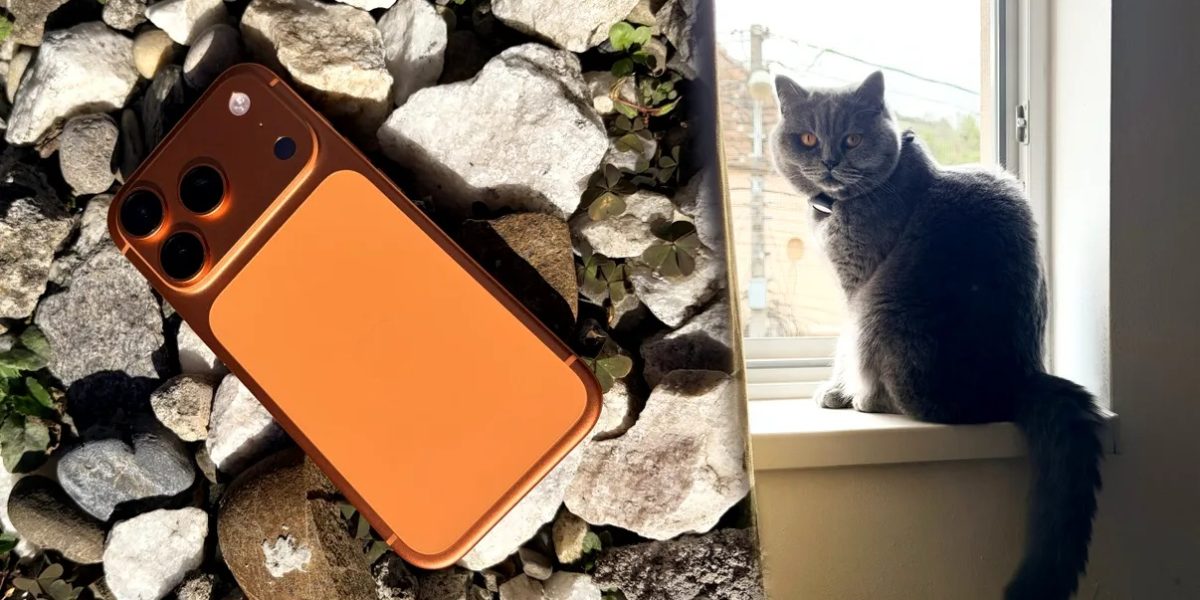 emoji-iphone-animal-de-companie.jpg - JurnalUrban