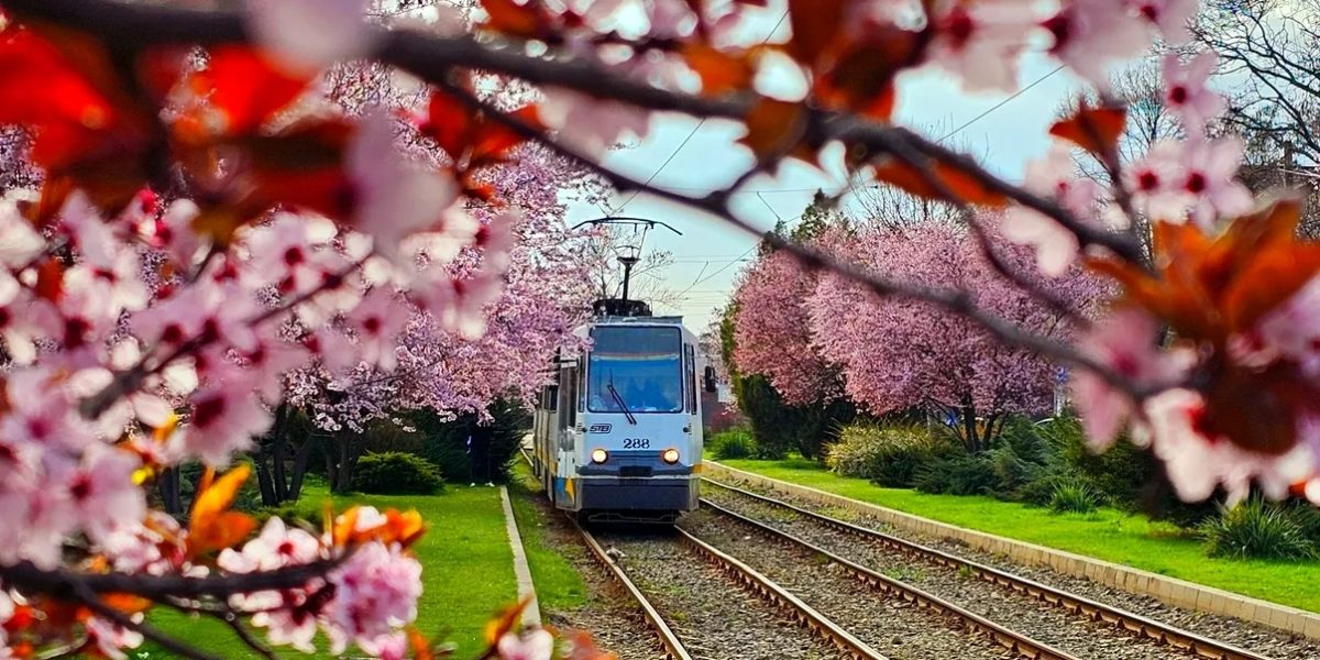 Marea de evenimente: Ce nu trebuie ratat în capitala României