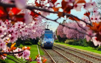 Marea de evenimente: Ce nu trebuie ratat în capitala României