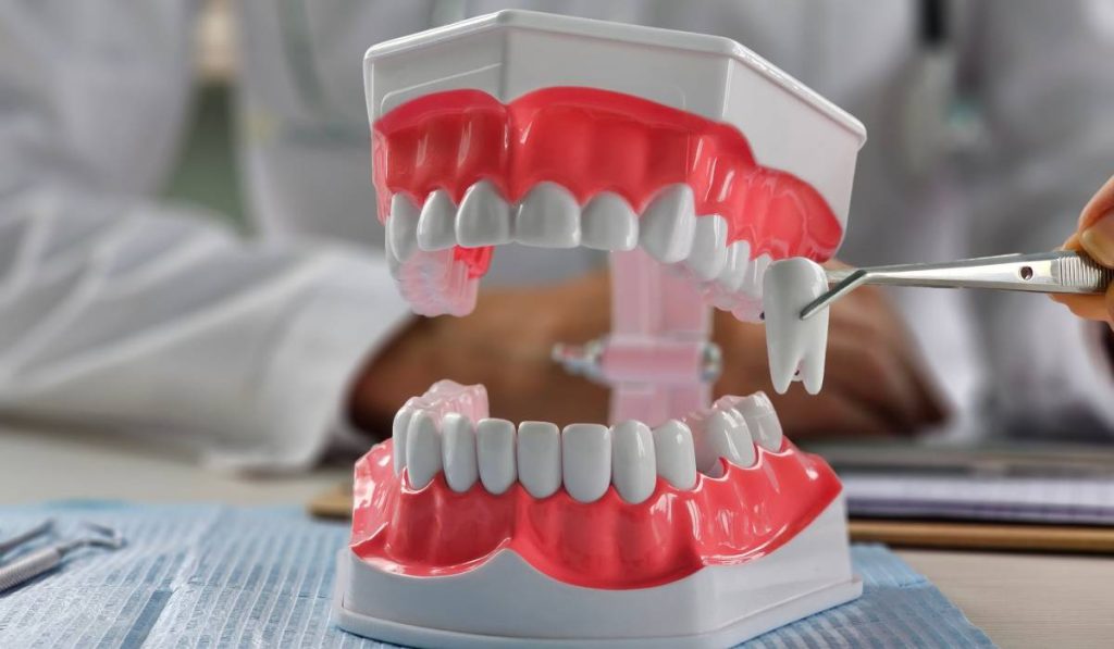 Extracție sau nu în ortodonție? Medicii dezbat, pacienții așteaptă