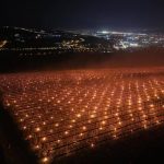 Costuri uriașe pentru pomicultorii din Cluj: 40.000 de euro dați foc peste noapte