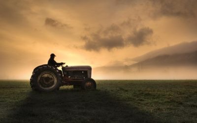Fermierii, strigăt de alarmă: Guvern și UE, acțiune URGENTĂ anti-criză!