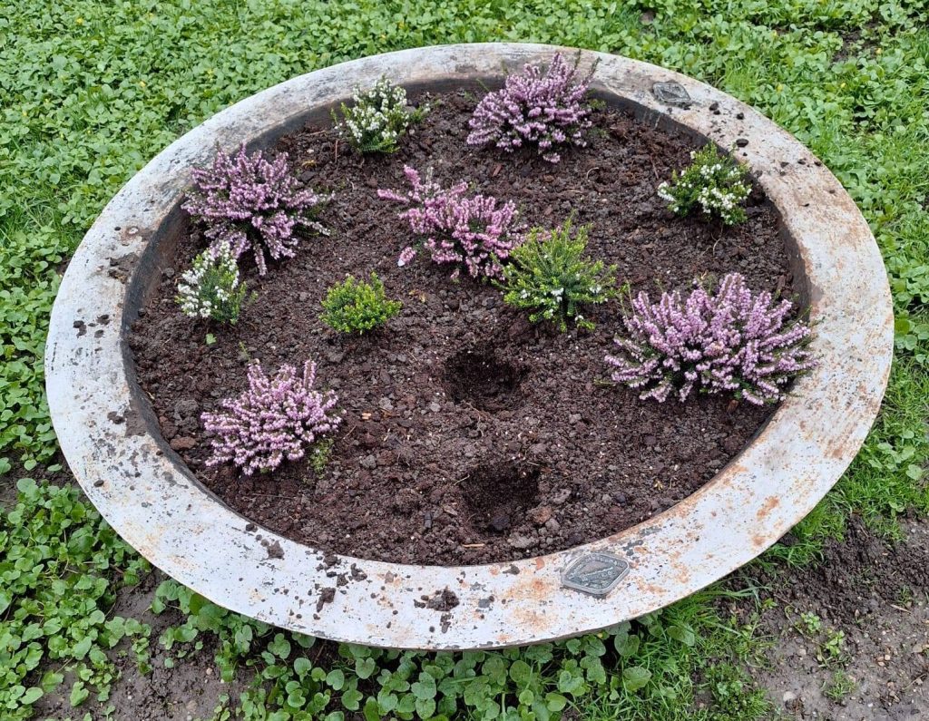 Sute de flori proaspăt plantate în Parcul Cișmigiu au fost furate, determinând intensificarea patrulelor Poliției Locale,