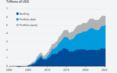 FMI: Piețe emergente, atractive pentru investitori. Atenție la riscuri!