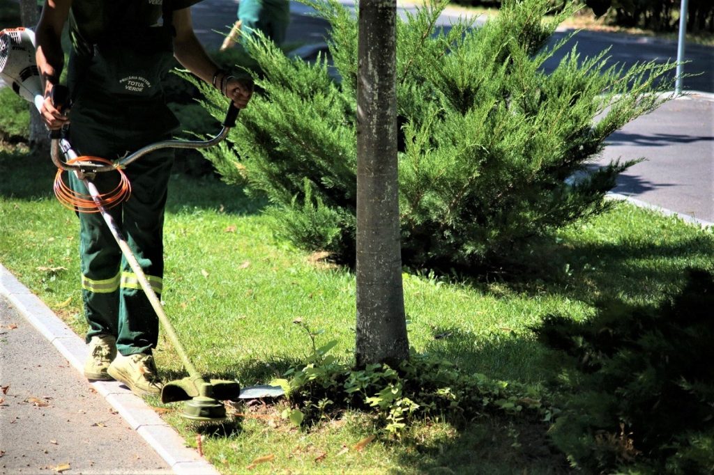 Comasarea parcurilor cu cimitirele din București, contestată în instanță