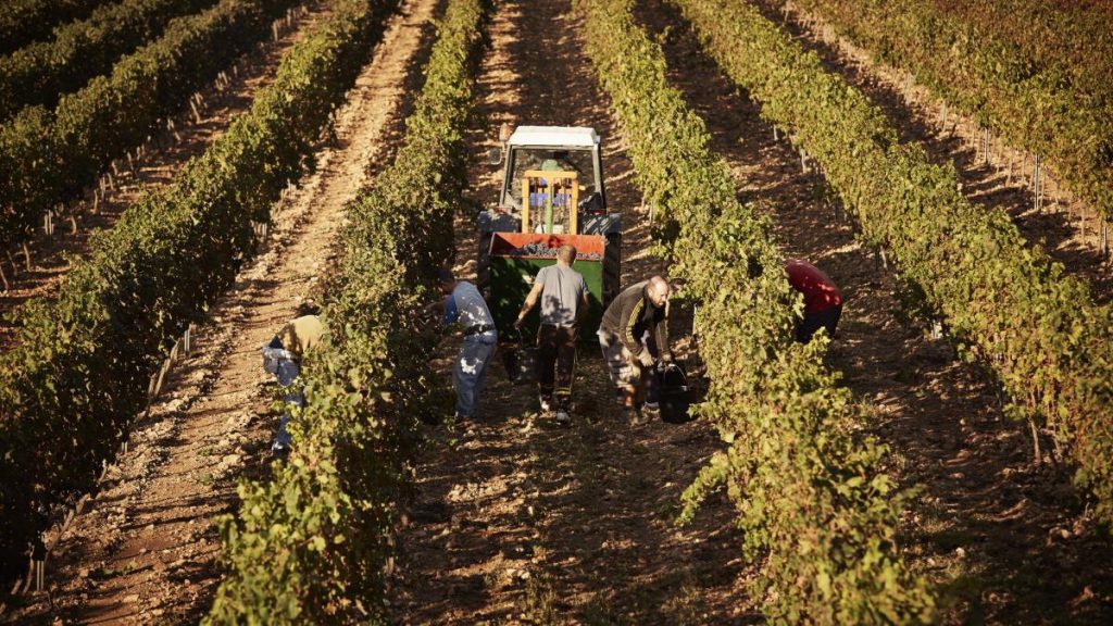 Spania legalizează 500.000 de imigranți: Cine se califică pentru statut legal