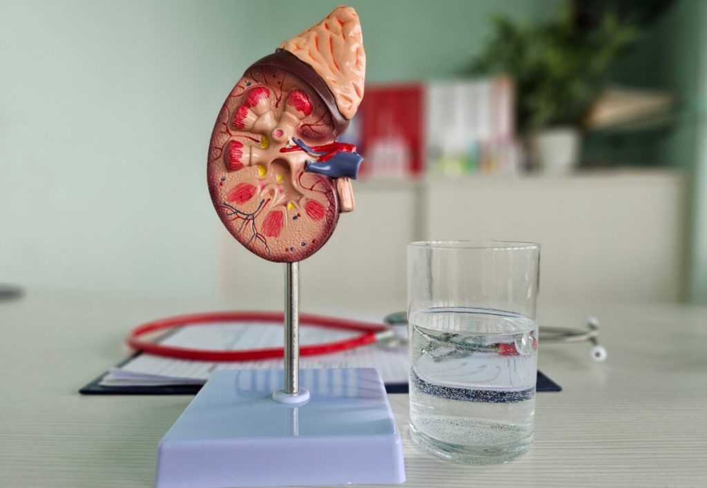 Obiceiul banal care îți scapă de problemele cu rinichii: Recomandarea medicilor