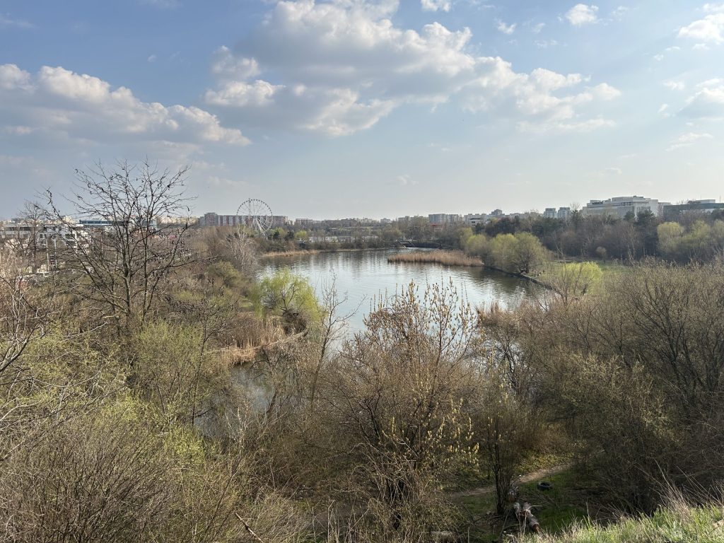 Amintirile din Pajiștea Petricani, un loc odată familiar pentru mulți bucureșteni, sunt acum umbrite de mirosul de gunoi și promisiunile neîmplinite ale dezvoltării urbane