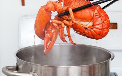 Oameni de știință cer stop fierberii homarilor: „E o cruzime inumană”