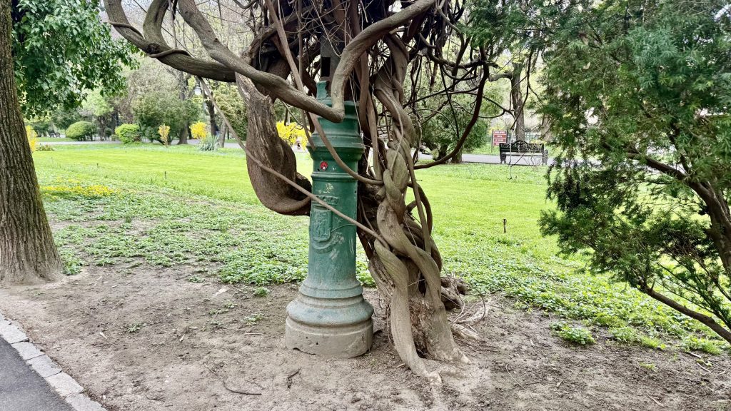 Cișmigiul, o lecție de istorie sub vopseaua crăpată a stâlpilor