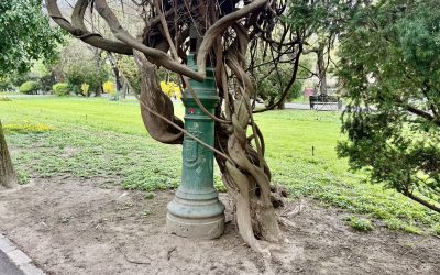 Cișmigiul, o lecție de istorie sub vopseaua crăpată a stâlpilor