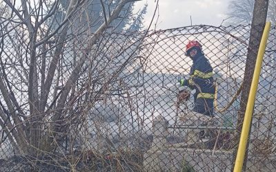 Incendiu violent la un cimitir din Botoșani: Lumânarea, cauza dezastrului