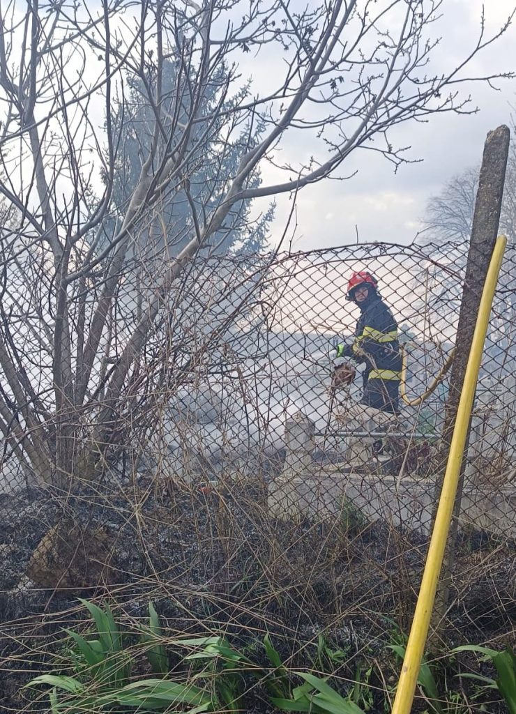 Incendiu violent la un cimitir din Botoșani: Lumânarea, cauza dezastrului