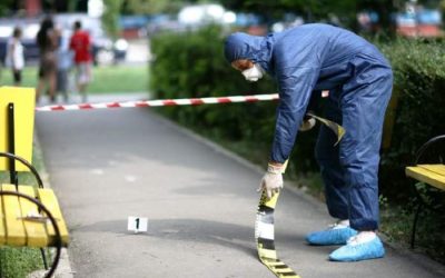 Alba: Tânăr ucigaș, arestat după ce a ucis un bărbat erou